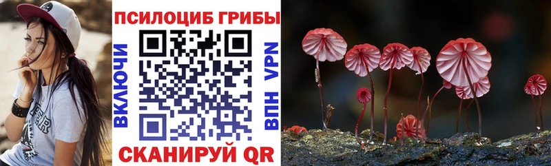 Псилоцибиновые грибы ЛСД  Купить где  Лиски 
